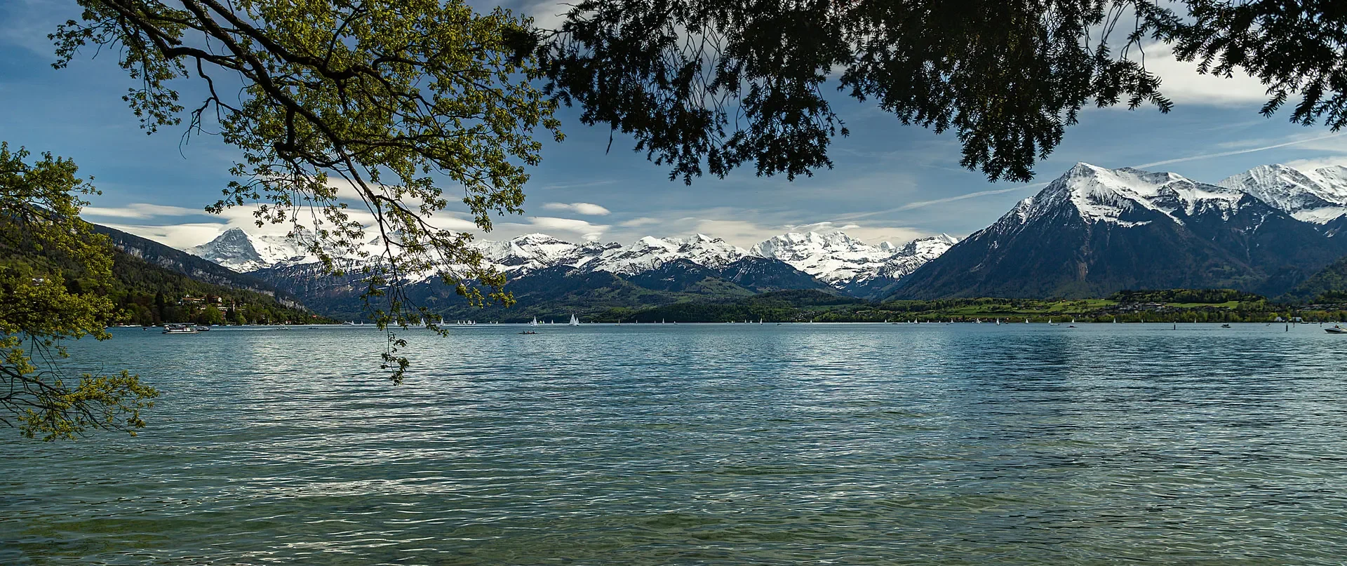 Niesen mit Thunersee