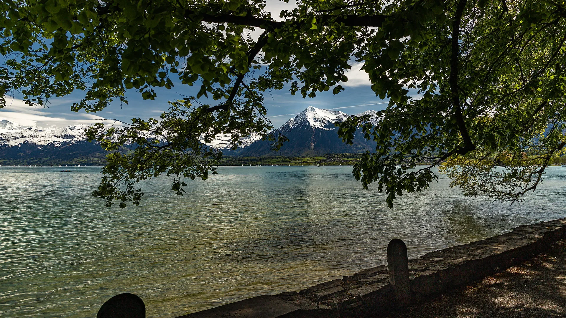 Niesen mit Thunersee