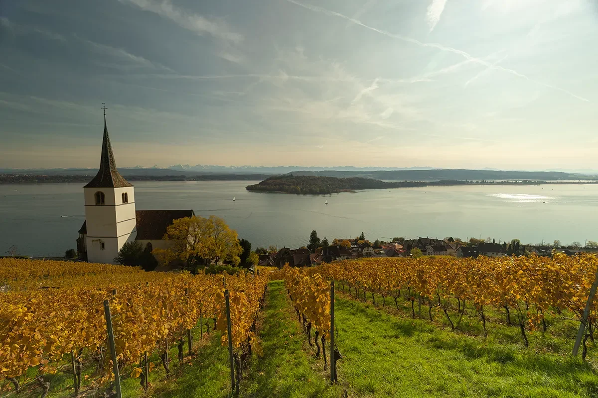 Kirche Ligerz mit Petersinsel