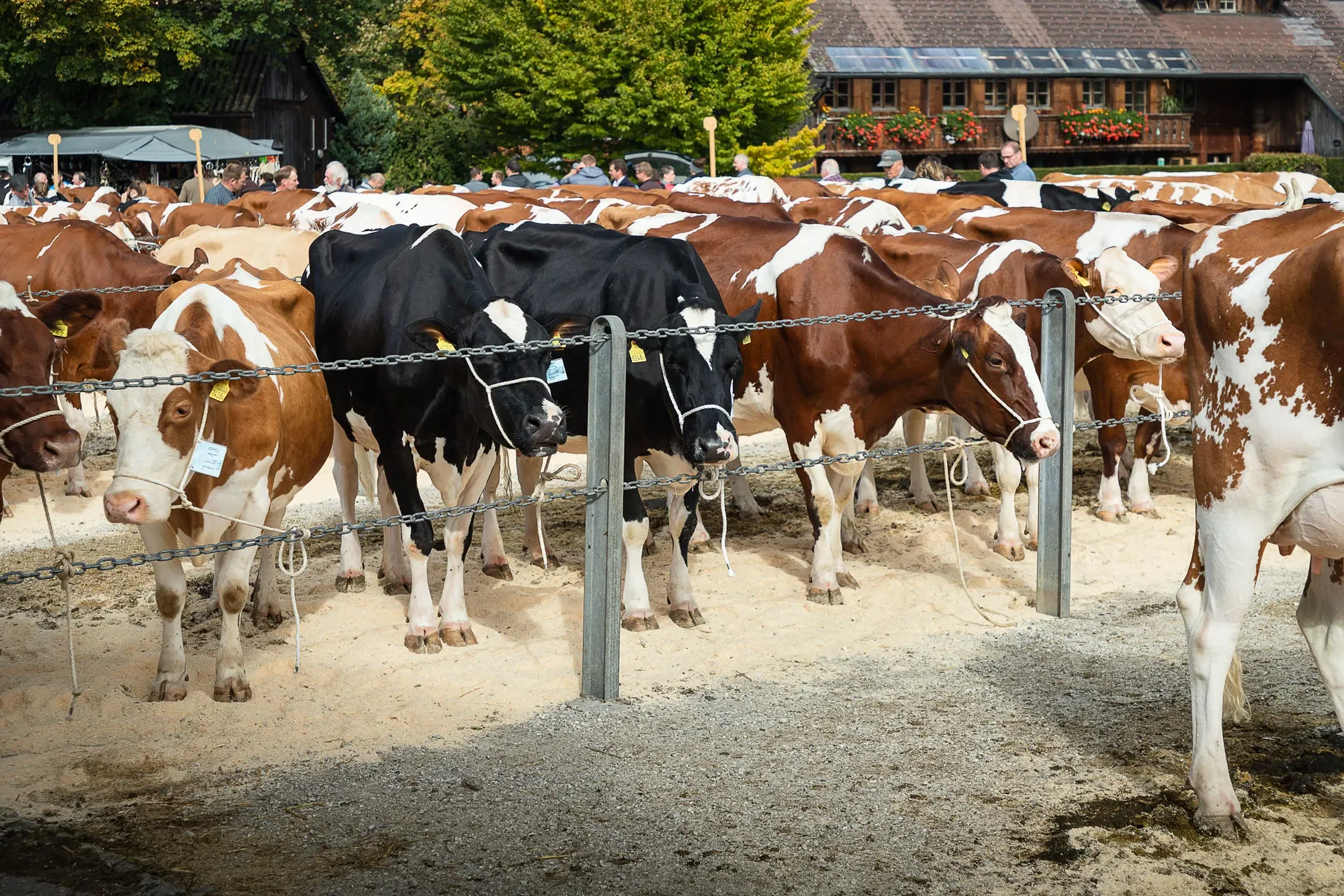 Was gibt es zu sehen