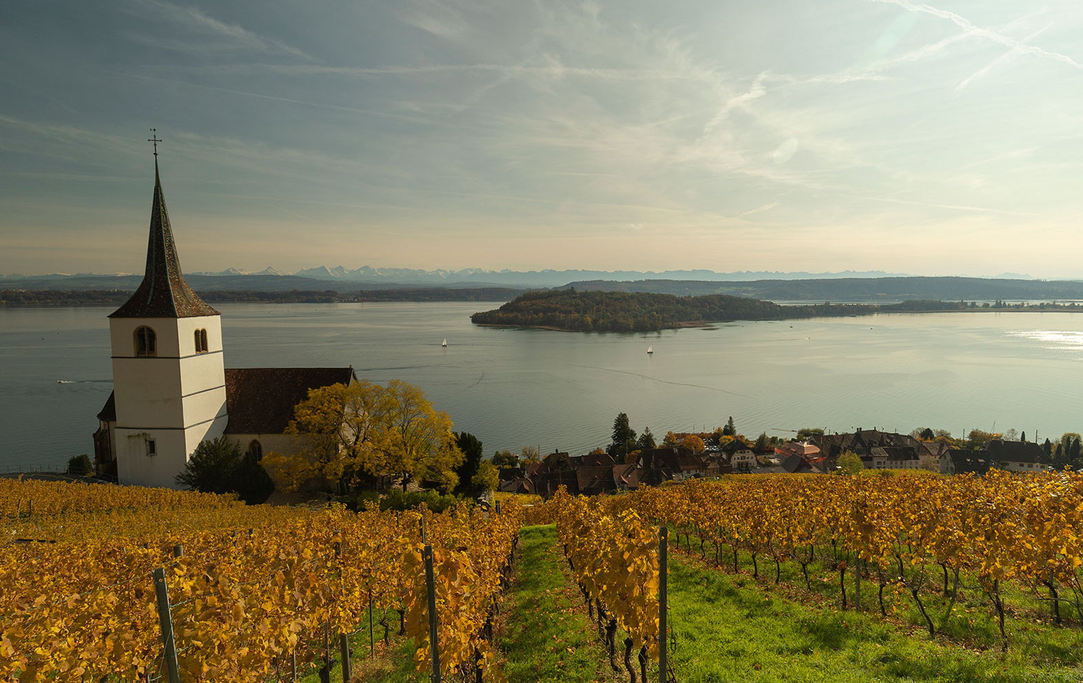 seeland_ligerz_kirche_petersinsel